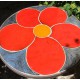 Table fleur rouge